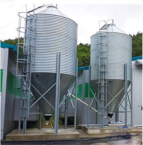 德力畜牧機械料線價格詳解與高清圖片展示，助力畜牧漁業高效飼料銷售